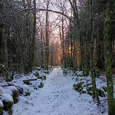 Vakantiehuis Le Champenois