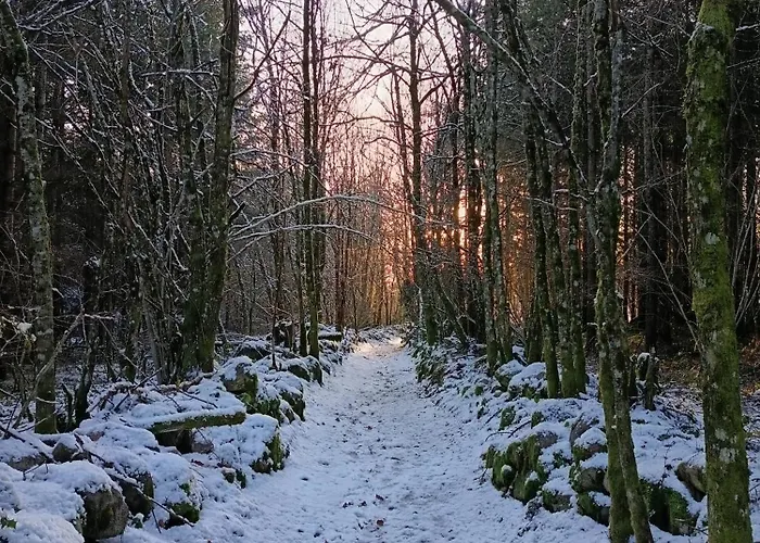 Holiday home Le Champenois